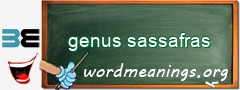 WordMeaning blackboard for genus sassafras